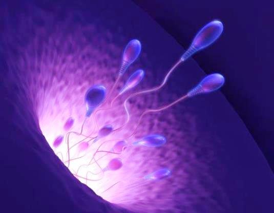Πρόκληση ωορρηξίας και σπερματέγχυση
