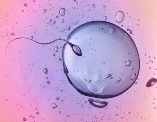 in-vitro-fertilisation-ivf